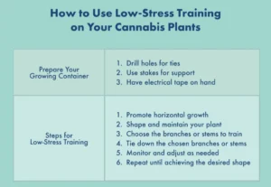 Low-Stress Training